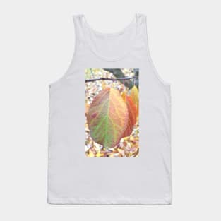 Apple Tree Leaves, Stawell, June 21, 2017 Tank Top